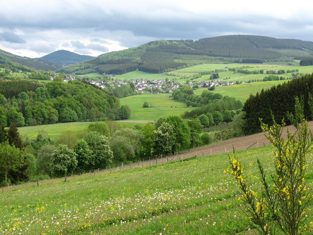Wiemeringhausen Ferienwohnung Moos-Hochsauerland חדר תמונה