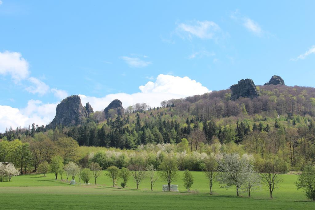 Wiemeringhausen Ferienwohnung Moos-Hochsauerland חדר תמונה