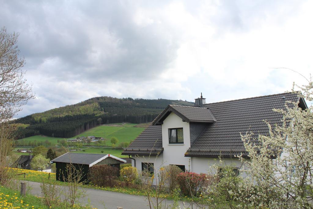 Wiemeringhausen Ferienwohnung Moos-Hochsauerland חדר תמונה